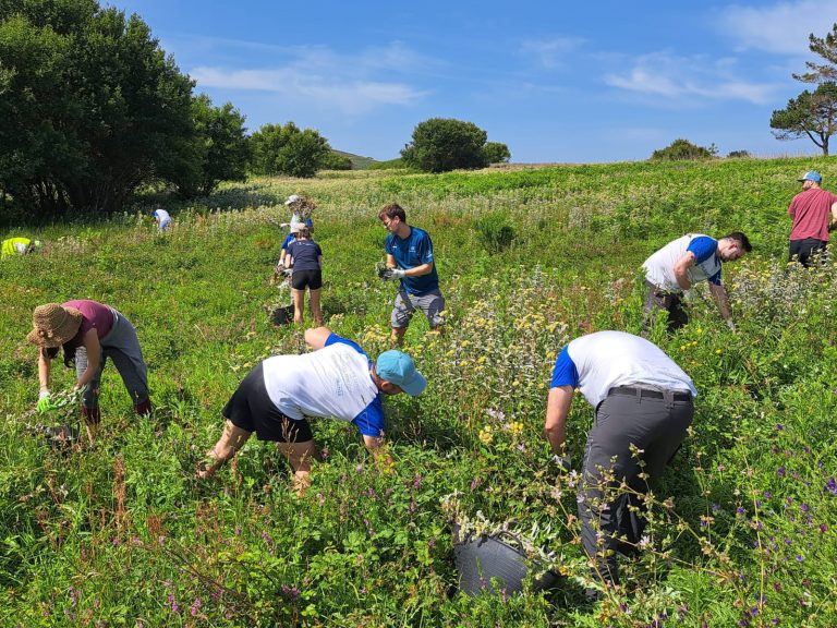 Más de un centenar de voluntarios retirarán este sábado basura marina y flora exótica invasora en la Isla de Ons