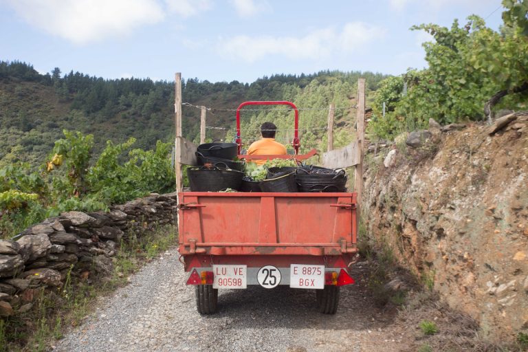 El Gobierno publica la orden de módulos con reducciones en el IRPF para 50.000 agricultores y ganaderos en Galicia
