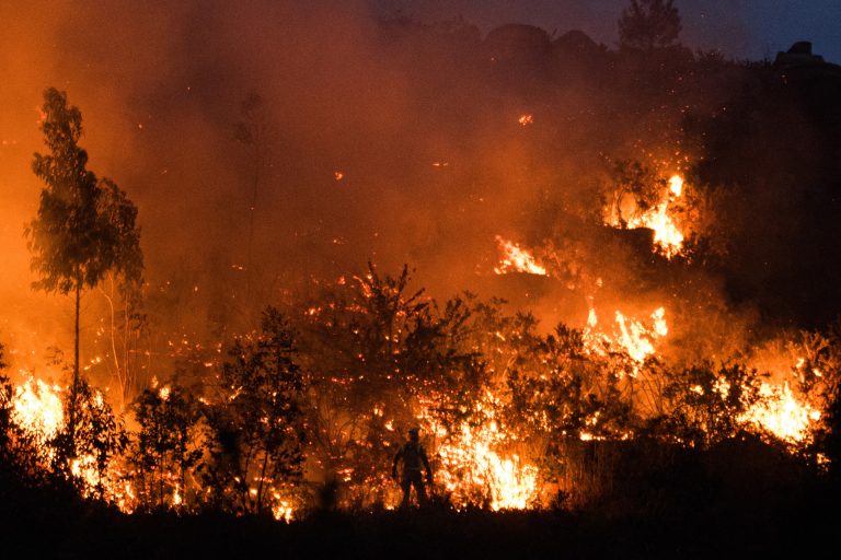 Rural.- Bruselas propone movilizar 120 millones para ayudar a España a recuperarse de los incendios del pasado verano