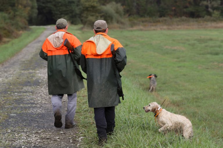 Rural.- El próximo período de caza será del 18 de octubre al 6 de enero de 2027, con la captura del lobo prohibida