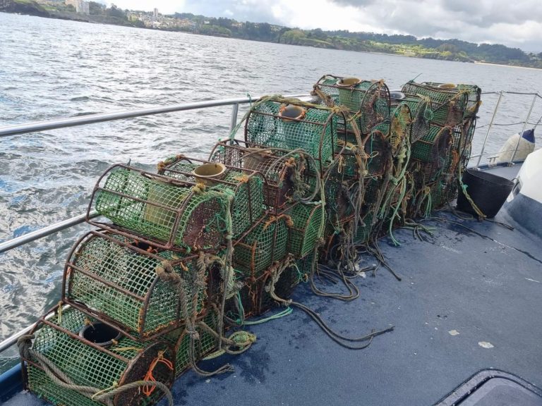 Pesca.- Incautados casi 670 kilos de pulpo y retirados 783 aparatos de pesca no autorizados en lo que va de año
