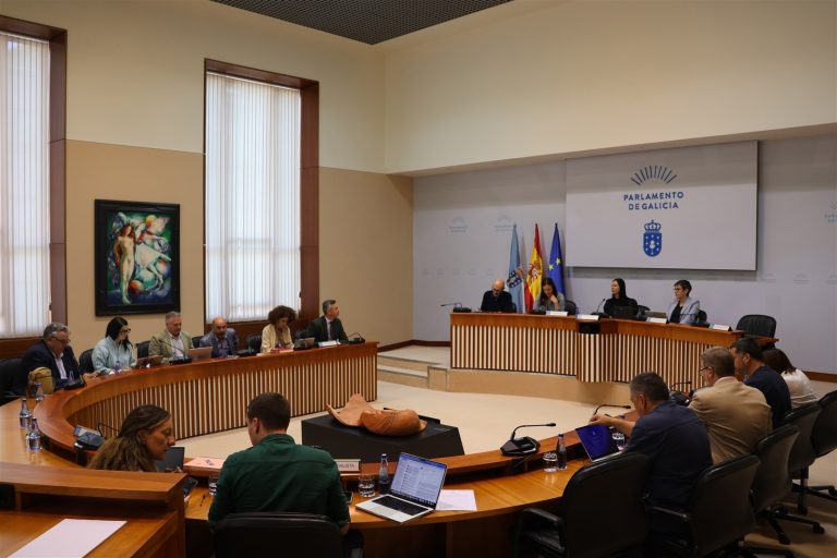 Pesca.- El Parlamento pide al Gobierno que se reconozca a las cofradías como organizaciones de productores