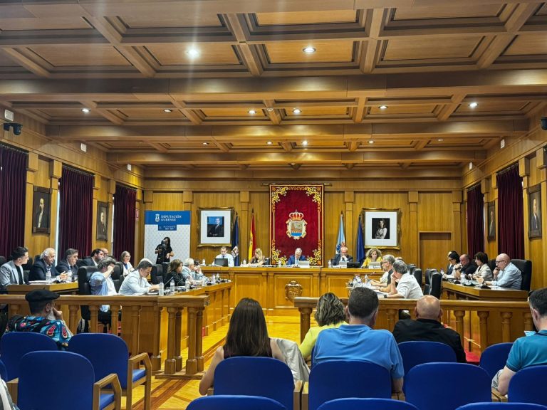 El pleno provincial de Ourense aprueba instar a la Xunta a agilizar el pago de ayudas tras los fuegos de 2025