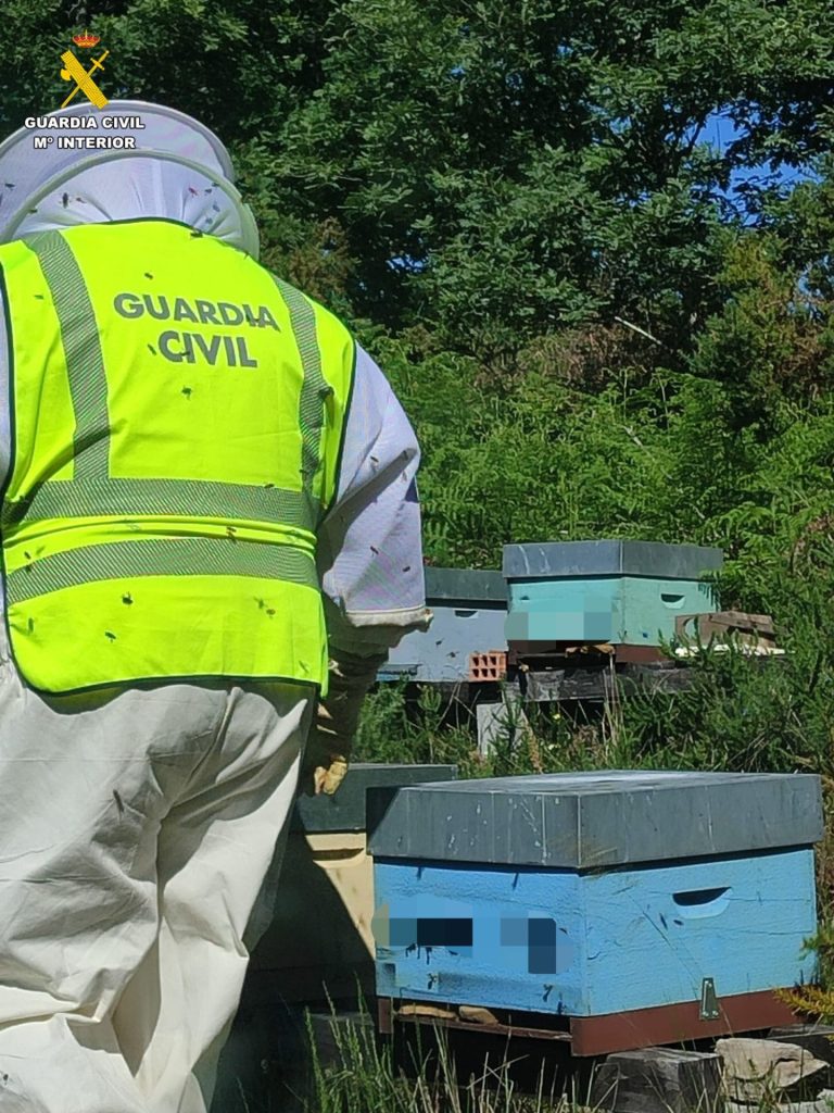 Investigado un vecino de Verea (Ourense) por el presunto hurto de 34 colmenas valoradas en más de 5.000 euros