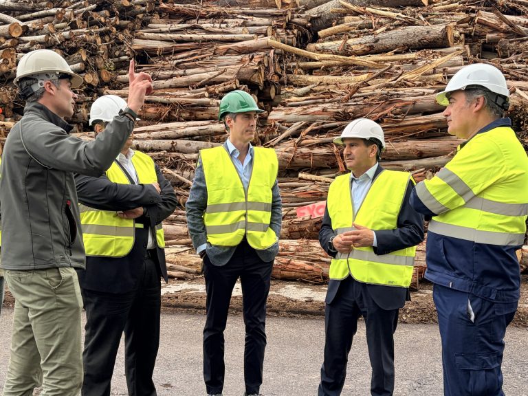 Intasa avanza en la construcción de una planta de revalorización de residuos de biomasa en San Sadurniño