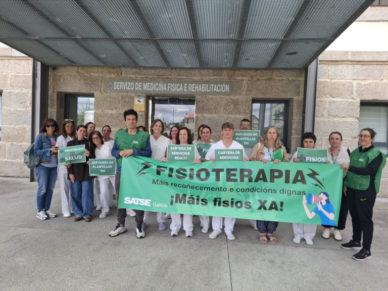 Satse reclama una sanidad pública con más fisioterapeutas y con mejores condiciones labores