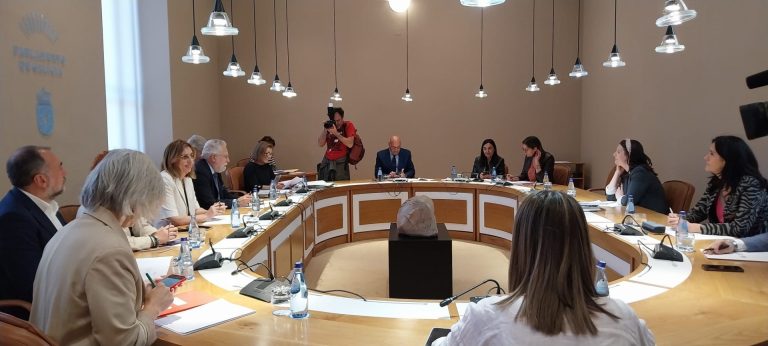 La oposición preguntará a Rueda por incendios y vivienda en un pleno en el que comparecerá Román Rodríguez