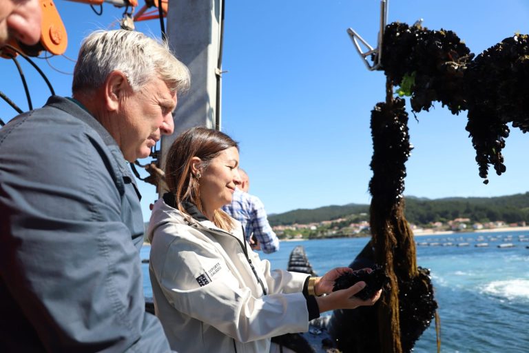 Mar expresa su apoyo al sector bateeiro para buscar alternativas que garanticen el suministro estable de mejilla