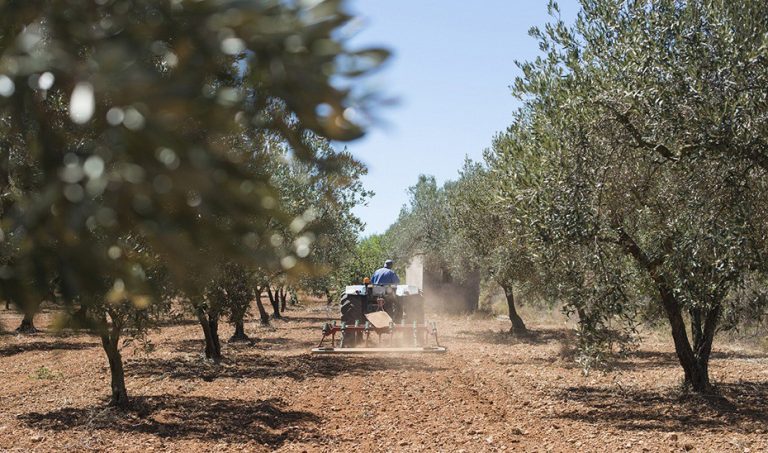 El Ministerio de Agricultura convoca las ayudas del plan Renove de maquinaria agraria por más de 9,5 millones