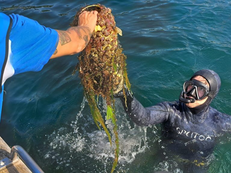 Buceadores voluntarios convocados por Afundación retiran más de una tonelada de basura marina en los fondos de Baiona