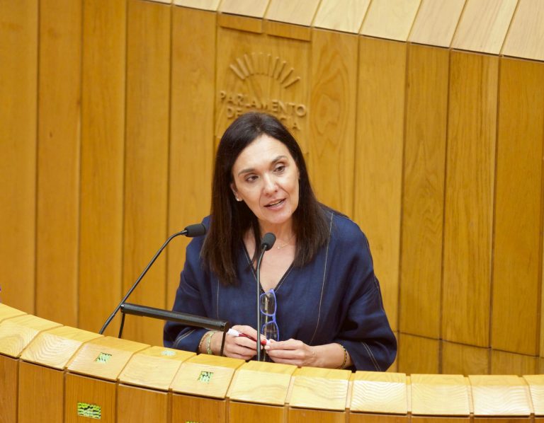 PSdeG reclama a la Xunta explicaciones por afrontar la campaña de alto riesgo de incendios con un modelo que «ya falló»