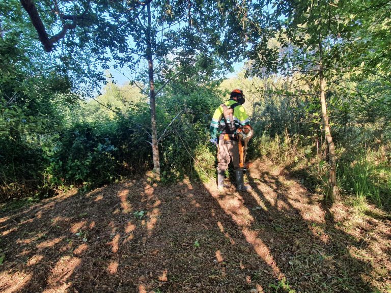 Rural.- La Xunta convoca nuevas ayudas por 1 millón para que municipios compren maquinaria de prevención de incendios