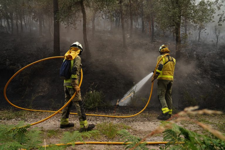 Rural.- Rueda defiende la labor de prevención frente al fuego de la Xunta y a Gómez: «La conselleira no apaga incendios»