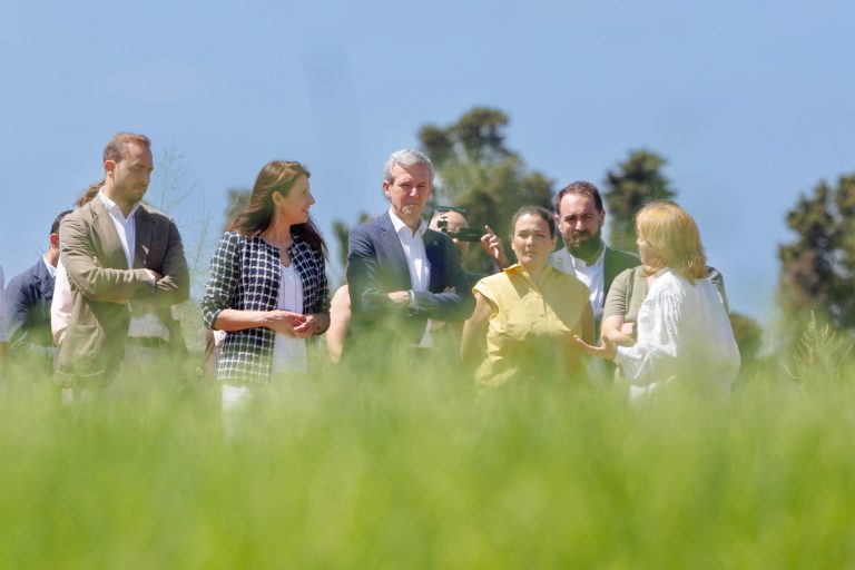 Fundación Adolfo Domínguez y Xunta impulsan una iniciativa para recuperar en Galicia el cultivo y la industria del lino