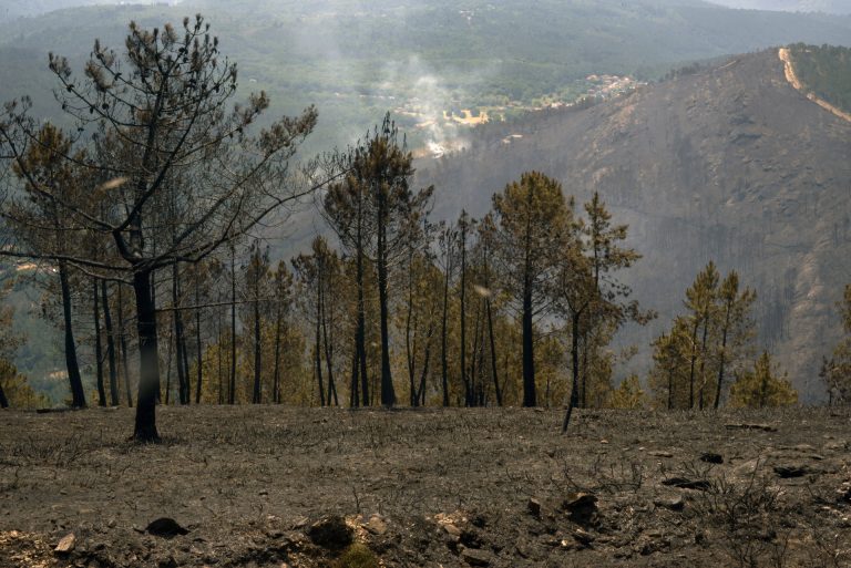 Rural.- Extinguido el incendio de Boborás (Ourense), con casi 280 hectáreas calcinadas