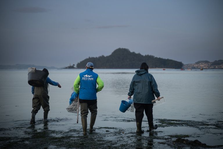 Pesca.- Reabren a la extracción 14 polígonos de mejillón y tres zonas de marisqueo al mejorar el episodio de marea roja