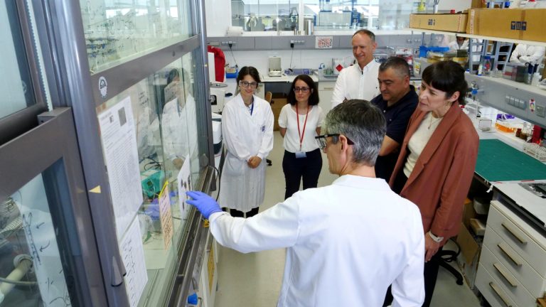 El BNG pide apostar por un centro público de I+D+i para estudiar el almacenamiento de energía