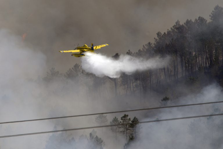 Rural.- Suben a 45 las héctareas calcinadas en A Mezquita (Ourense) por el incendio que cruzó desde Portugal