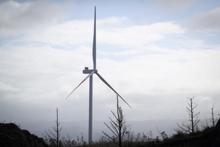 Consello.- Xunta recurrirá ante el TC el decreto de zonas de aceleración de renovables al limitarlas al 0,16% de Galicia