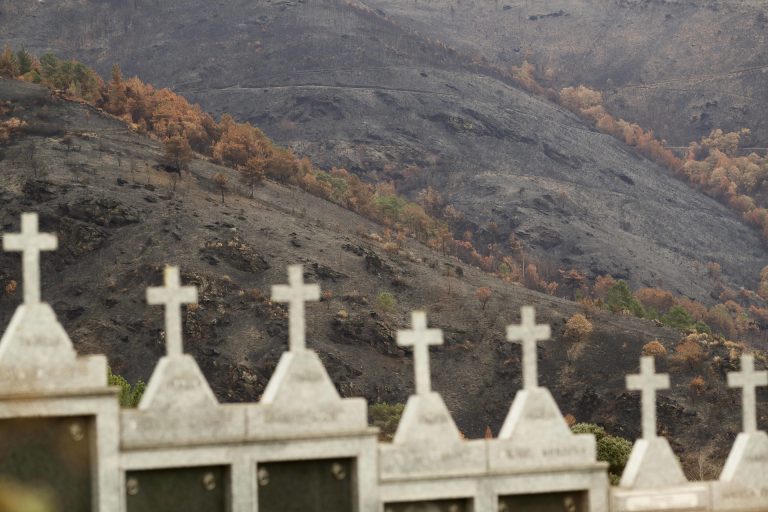 Rural.- Greenpeace pide no olvidar las zonas quemadas en 2025 y cuestiona la eficacia de las medidas de la Xunta
