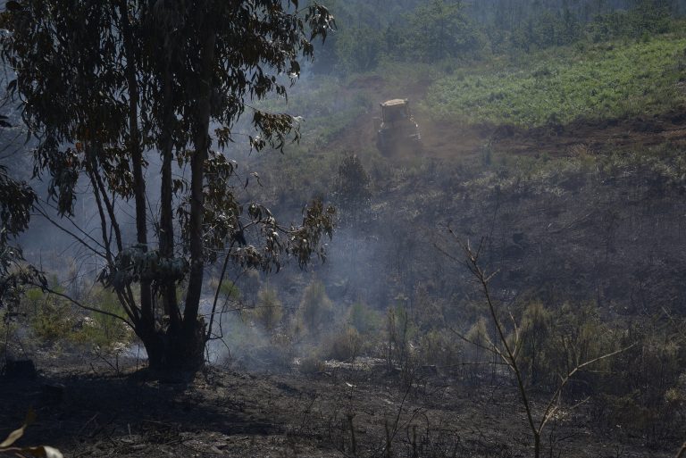 Rural.- WWF avisa de que «el riesgo estructural» de incendios «sigue igual» a 2025, con cada vez más «inapagables»