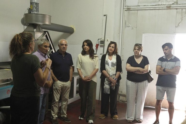 Rural.- La Xunta destaca la apuesta tecnológica de la empresa Aceiroga, productora de aceite de oliva