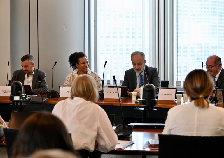 Millán Mon (PP) defiende la necesidad de financiación para el Patrimonio Cultural Europeo para «preservar su legado»