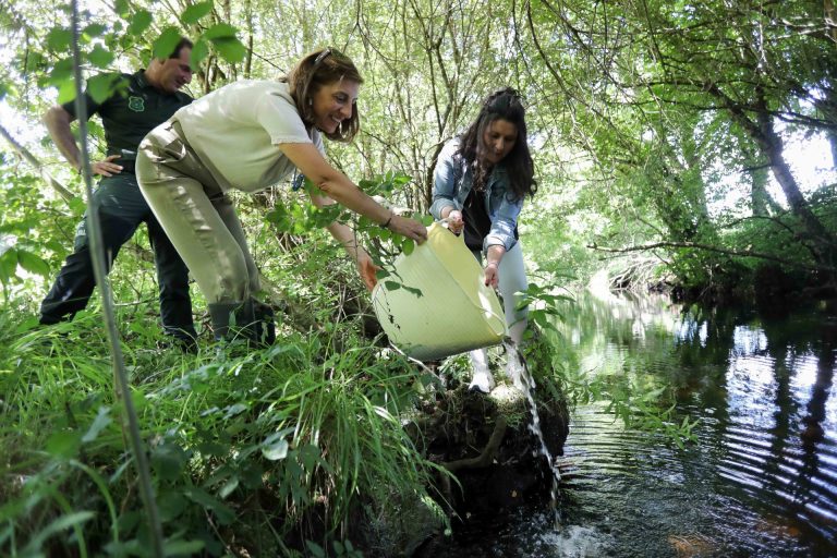 La Xunta defiende un modelo de pesca «sostenible» apoyado en el sector y acciones para cuidar los ecosistemas fluviales