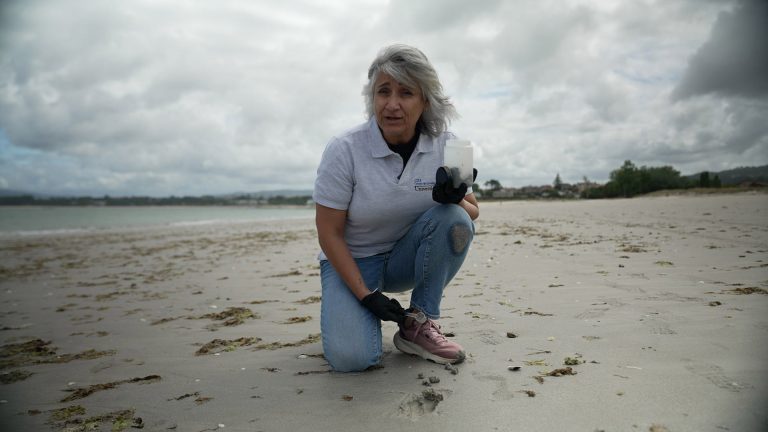 El Centro de Investigación Mariña de la UVigo constituye el primer banco nacional de arena de playa de España