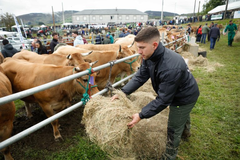 Rural.- Medio Rural prorroga un mes las medidas preventivas ante la dermatosis nodular