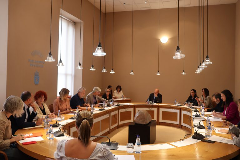 AV.- Las riadas en Ourense, sanidad, vivienda y AP9, temas que centrarán el último pleno del periodo de sesiones