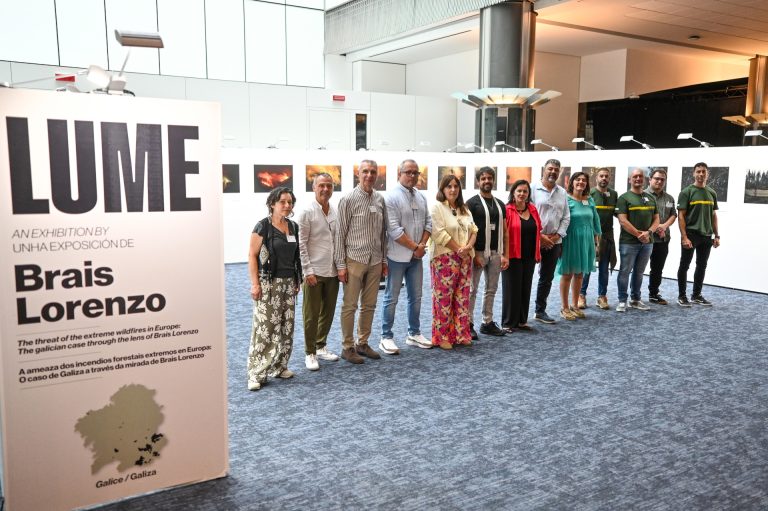 El BNG exige en Bruselas «actuaciones urgentes desde Galicia y Europa» frente a los incendios forestales