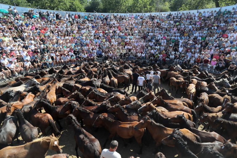La Rapa das Bestas de Sabucedo se antepone al calor y celebra una jornada entre abanicos y manguerazos