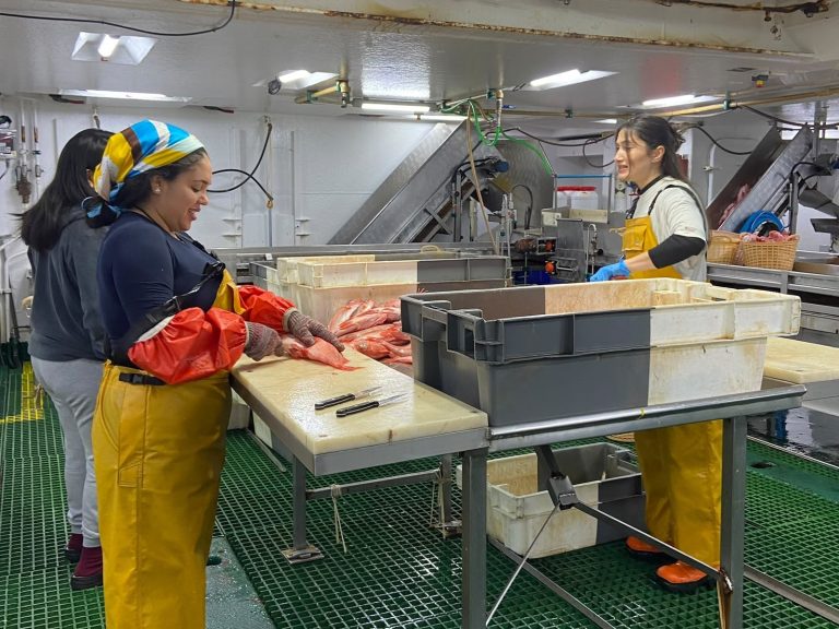 Pesca.- El IEO evalúa recursos pesqueros en el Banco de Flemish Cap en Terranova