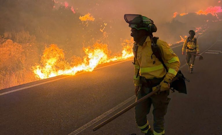 La FEMP se pone a disposición del Gobierno de Andalucía para ayudar ante el incendio forestal en Los Gallardos (Almería)
