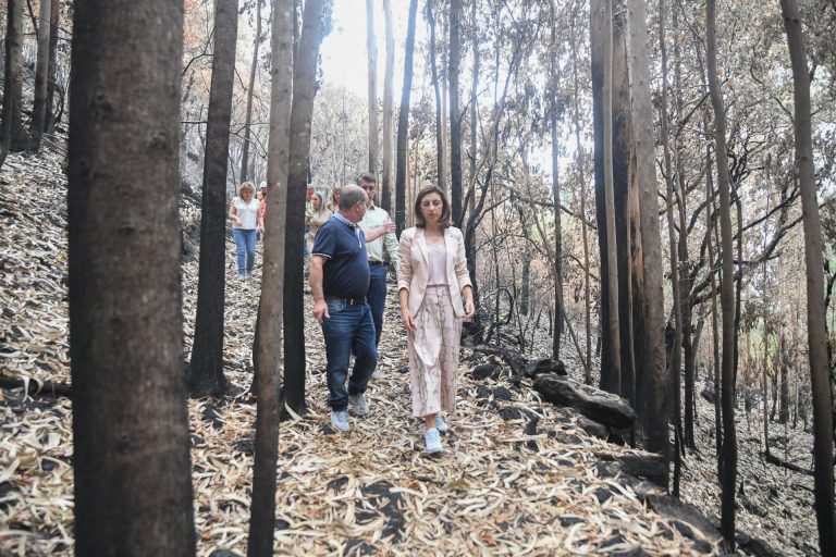 La Xunta destaca la «agilidad» en la conservación fluvial para evitar arrastres tras los incendios en Padrón