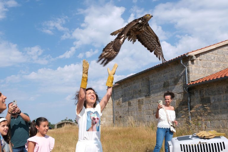 La Xunta subraya el trabajo de los centros de recuperación de fauna silvestre y pide la colaboración de la gente