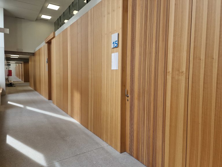 Más de 14.700 adultos fueron condenados en Galicia el año pasado y se impusieron 880 penas por delitos sexuales