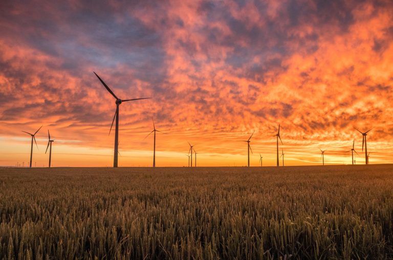 El sector eólico se afianza como pilar del sistema eléctrico español, pero reclama acelerar su despliegue