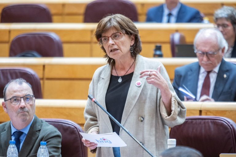 El BNG reclama al Gobierno explicaciones y responsabilidades por los incendios relacionados con el paso de un tren