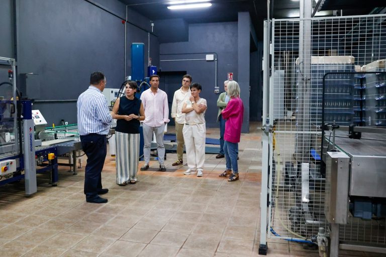 Las bodegas gallegas podrán solicitar desde el 5 de agosto las ayudas autonómicas para financiar la adquisición de uva