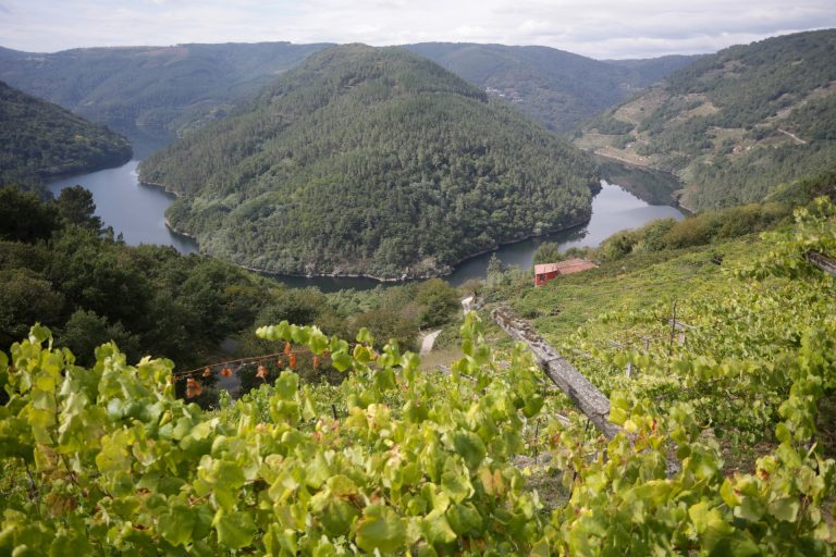 Consello.- La Xunta reafirma su confianza en la candidatura de la Ribeira Sacra a Patrimonio Mundial en una semana clave