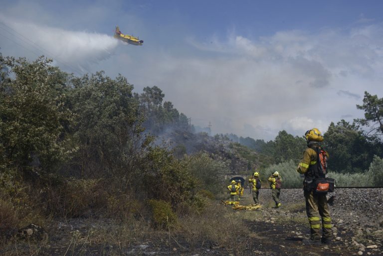 Sanidad advierte del riesgo de la elevada toxicidad de las partículas PM2,5 generadas por los incendios forestales