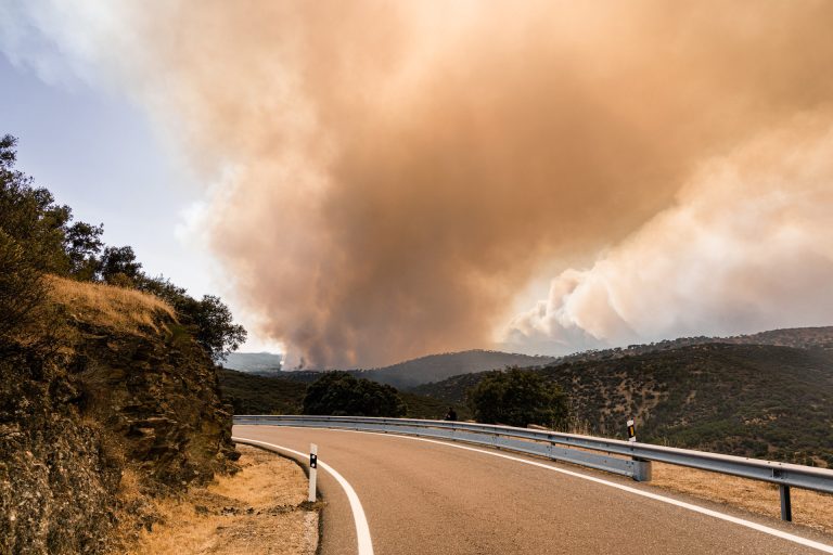 La Xunta envía equipos de extinción a los incendios de Ávila y Madrid, que se suman a los mandados a León