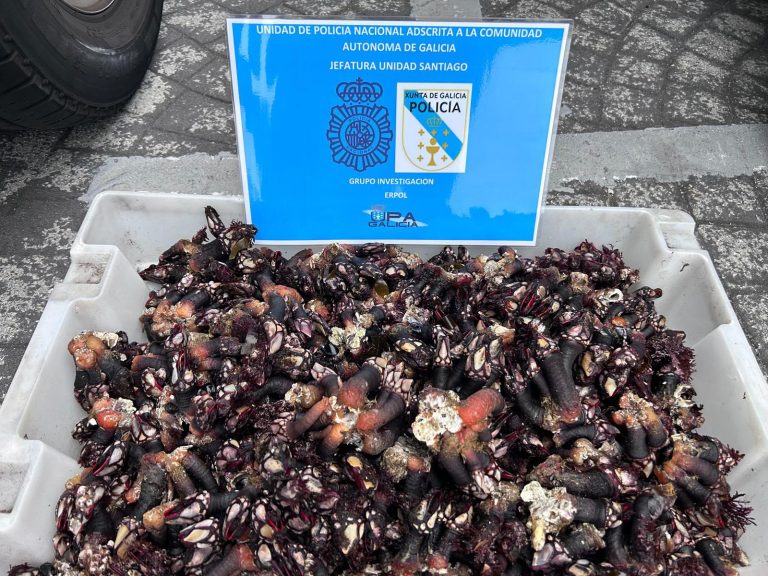 Pesca.- Decomisan más de 112 kilos de percebe extraídos de forma ilegal en la costa de A Coruña