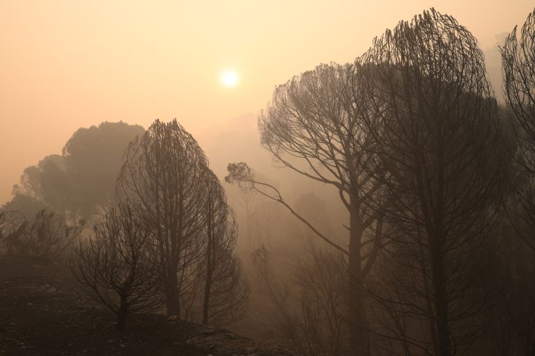 Rural.- Rueda comparte que las «causas climáticas» influyen en los fuegos, pero pide no solo «teorizar» sino «actuar»