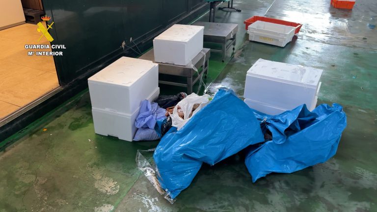 Pesca.- Intervenidos 165kg de pescado y 16 de marisco ilegal en el puerto de Bueu (Pontevedra)
