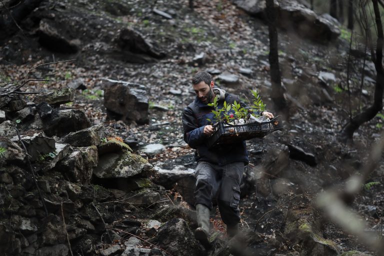 Adega denuncia que Galicia llega a la época de «máximo riesgo de incendios» con «los deberes sin hacer»