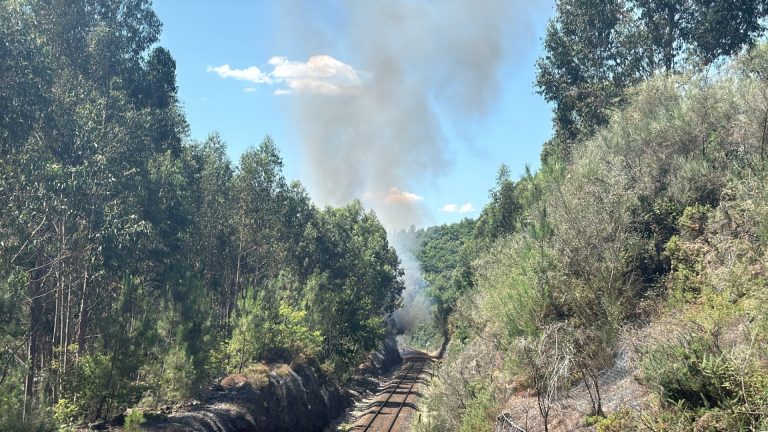 Rural.- La Xunta exige a Adif que desbroce alrededor de las vías tras nueve fuegos en dos semanas