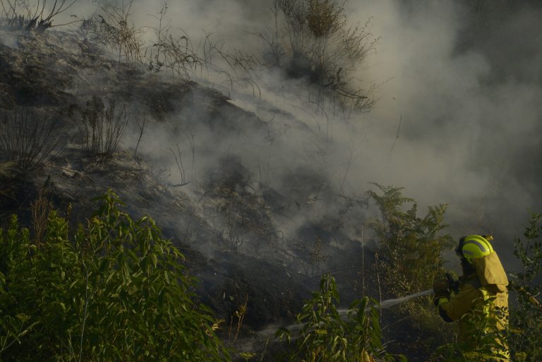 Rural.- Extinguido el incendio declarado en Monfero (A Coruña) tras calcinar 38 hectáreas, la mayoría en Guitiriz